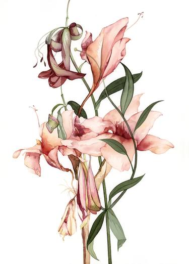 Original Floral Paintings by Anto ZV