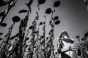 Walk through the sunflowers - Limited Edition of 30 thumb