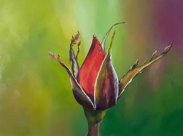 Original Fine Art Floral Paintings by MERON SOMERS