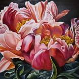 SWEET VELVET by MERON SOMERS