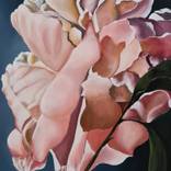 PURE SILK by MERON SOMERS