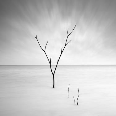 Silver Waters #3 - Limited Edition of 30 image