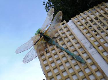 Giant Resin Dragonfly Sculpture thumb
