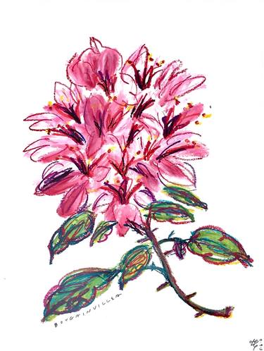 Original Botanic Drawing by Petch wanmalikpan
