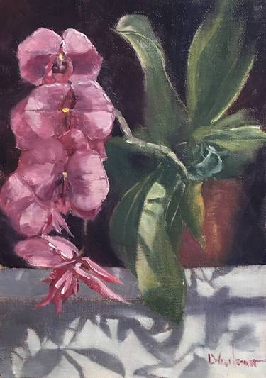 Original Botanic Paintings by Leah Wiedemer