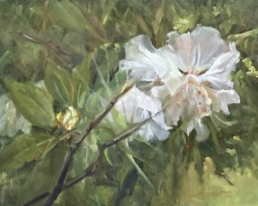 Original Fine Art Botanic Paintings by Leah Wiedemer