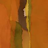 Into the Earth  - Limited Edition of 100 by Jay Brandt