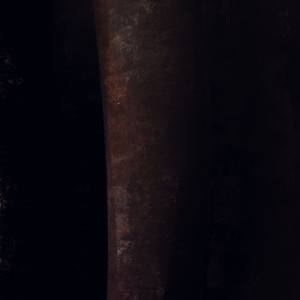 Is It Safe To Go Outside  - Limited Edition of 50