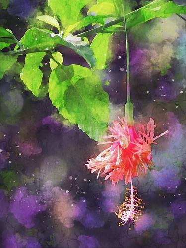 A Beautiful Hibiscus, Digital Painting of a Flower Hanging Upside-Down from a Branch of a Plan thumb