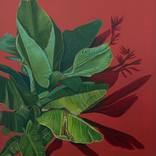the shade of the orange tree by Fernanda Eva