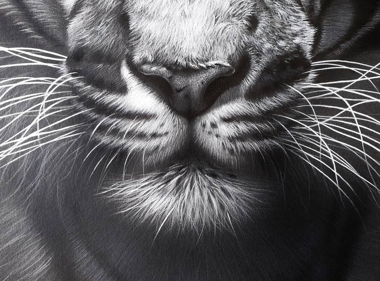 Original Fine Art Animal Drawing by Elena Kolotusha