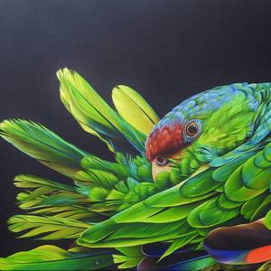 Collection Melbourne Locals