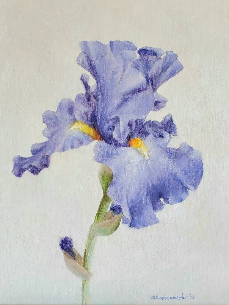 Iris Flower Painting by Hanna Romanovich Saatchi Art