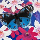 Butterflies and Passion Flowers by Chenyang Liu