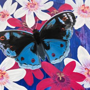 Butterflies and Passion Flowers