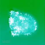 Natural Killer Cell Luminogram VII - Limited Edition 1 of 3 by Jo Bradford