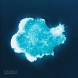 Natural Killer Cell Luminogram VIII - Limited Edition 1 of 3 by Jo Bradford