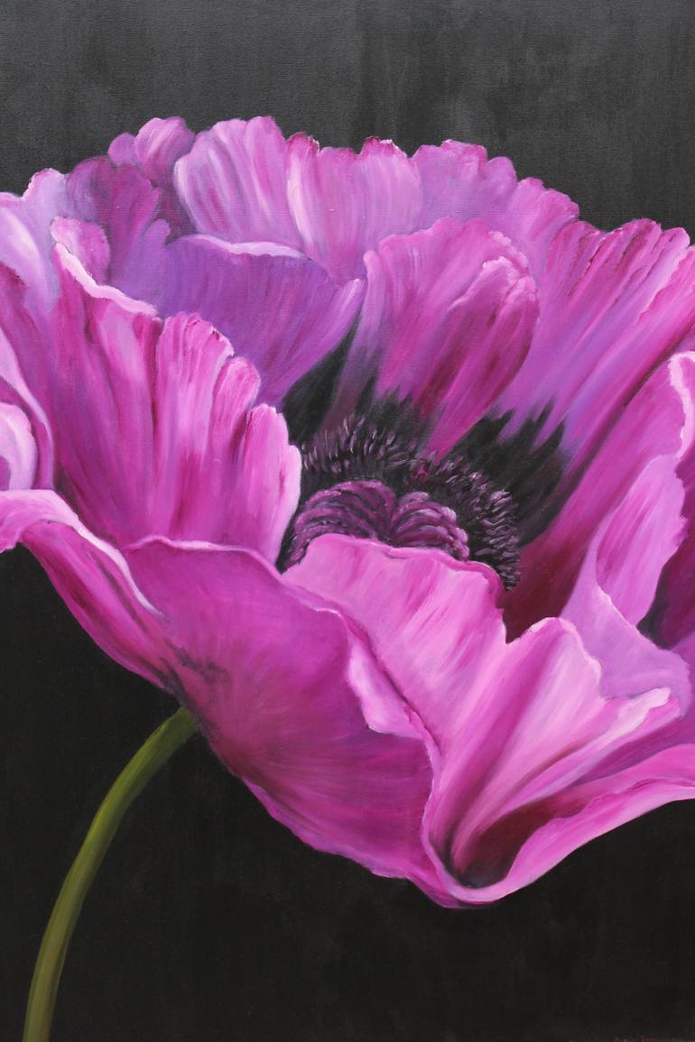 pink poppy flower art