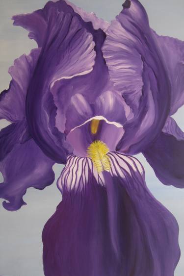 'Purple Iris with blue background' thumb