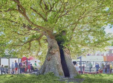 Original Fine Art Tree Photography by Matthew Thomas