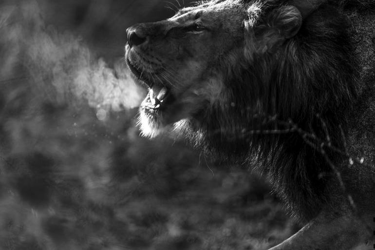 Lion Roars Stock Illustrations – 116 Lion Roars Stock