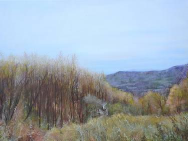 Original Fine Art Landscape Paintings by Bingyu Zou