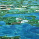 Collection Nan Singley