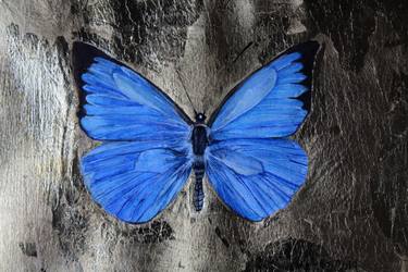 Mia Fernandes Artworks | Saatchi Art