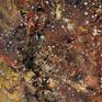 A part of the painting