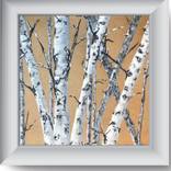 Collection Contemporary