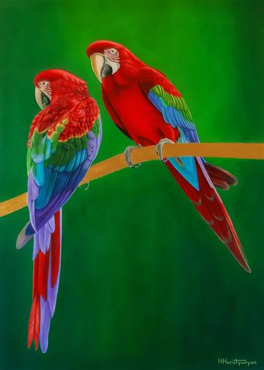 Two Scarlet Macaws thumb