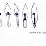 Evolution of the match by LOLA AYODELE