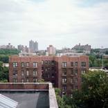 Collection NYC Collection