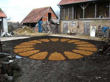 Cross cut of corn cob and sunflower in space of individual memory thumb