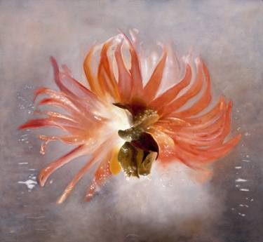 Print of Figurative Floral Paintings by Jose Maia