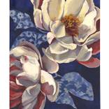 See the Light #2 by Jo Bedell