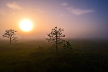 Original Photorealism Landscape Photography by Sergei Kudriavtcev