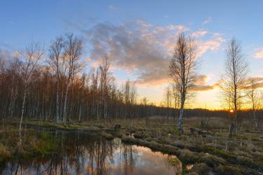 Original Photorealism Nature Photography by Sergei Kudriavtcev