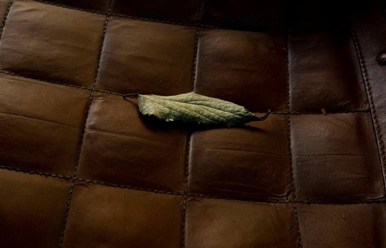 Original Documentary Nature Photography by Ian M
