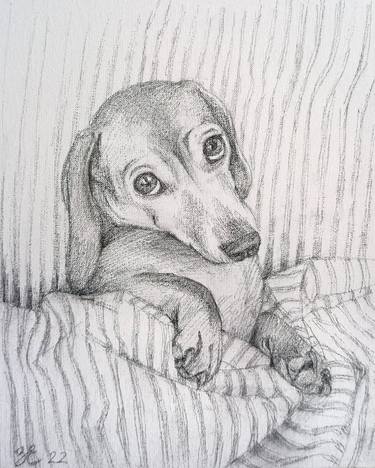 Print of Dogs Drawings by Kateryna Zavadska