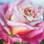 Pink roses, little flowers by Tanya Churey Art