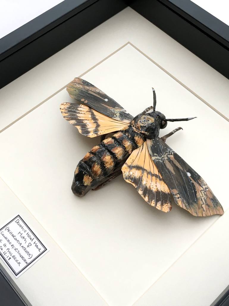 Original Conceptual Nature Sculpture by Rhea Thierstein