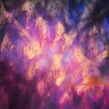 Collection Abstract/Nonobjective