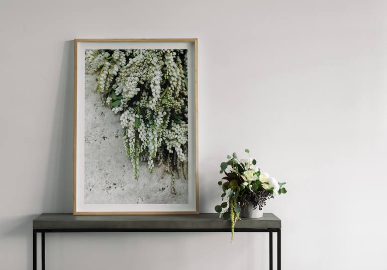 Original Other Floral Photography by Tash Carah