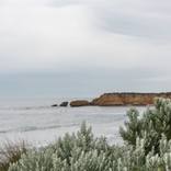 Torquay Coast - Limited Edition of 50 by Tash Carah