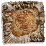 Late Helios - Purely Textural Map Points series by Alison Price