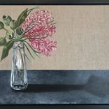 Collection Organic Botanic