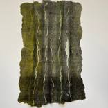 In the Cork Forest: Algae Glow by dior mahnken