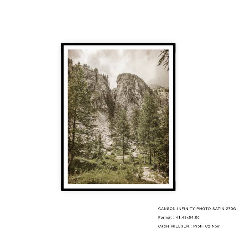 Original Documentary Nature Photography by Steven Elio Van Weel