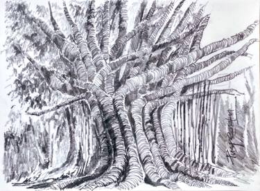Print of Botanic Drawings by Puspendu RoyKarmakar